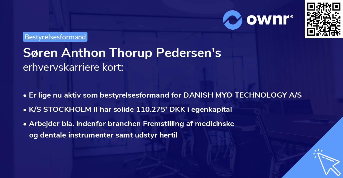 Søren Anthon Thorup Pedersen's erhvervskarriere kort