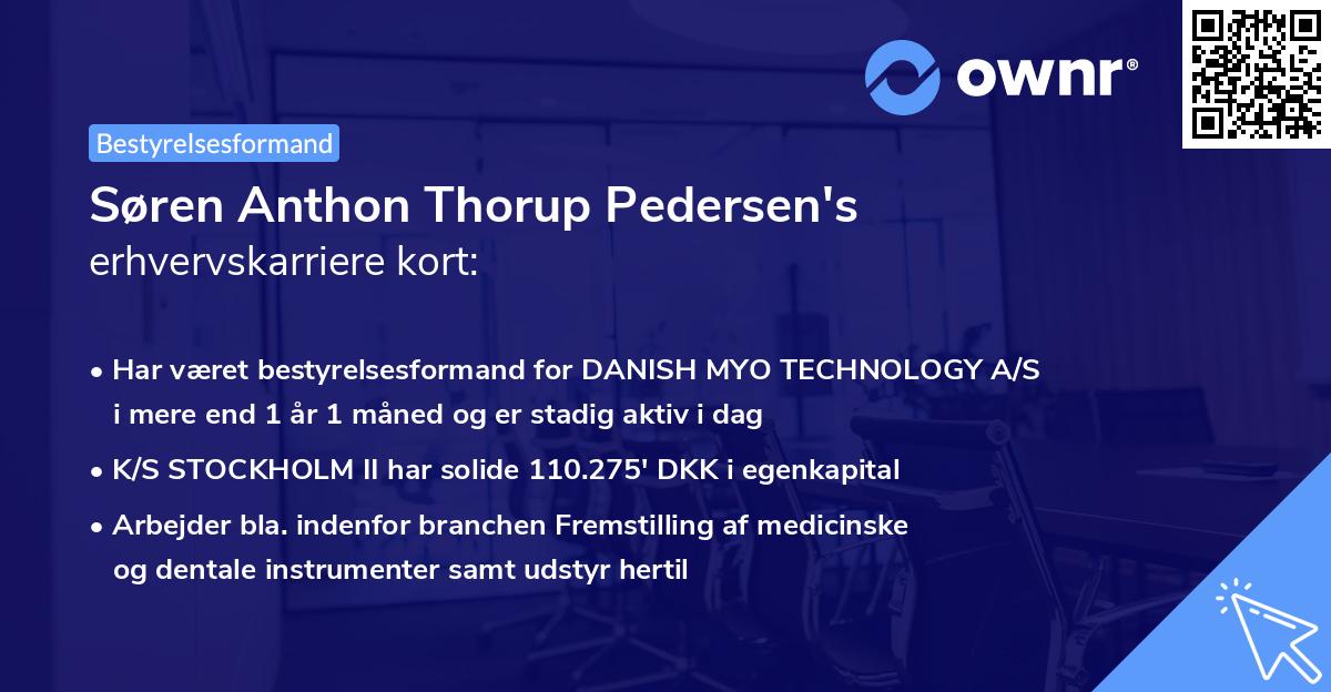 Søren Anthon Thorup Pedersen's erhvervskarriere kort