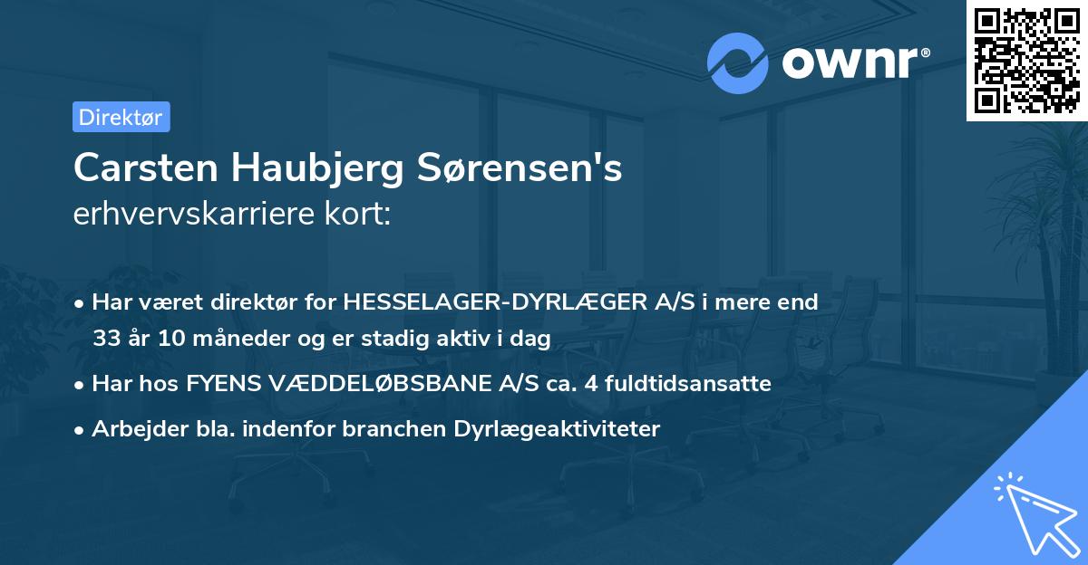 Carsten Haubjerg Sørensen's erhvervskarriere kort