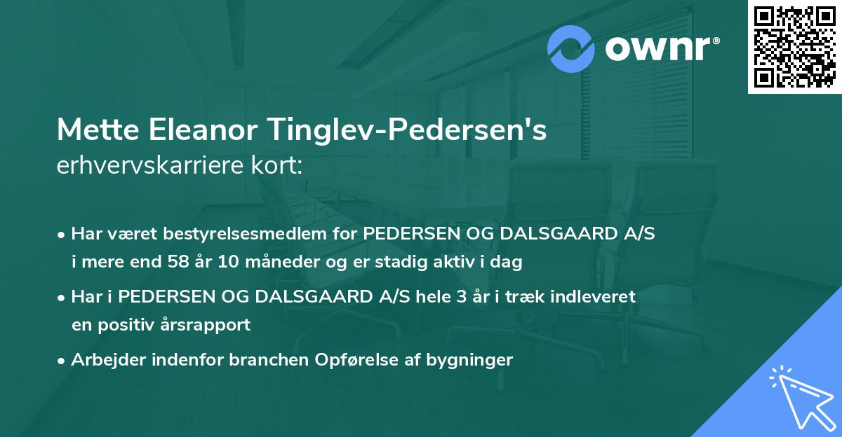 Mette Eleanor Tinglev-Pedersen's erhvervskarriere kort