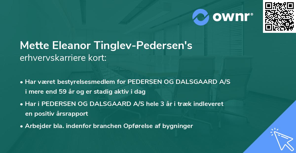Mette Eleanor Tinglev-Pedersen's erhvervskarriere kort