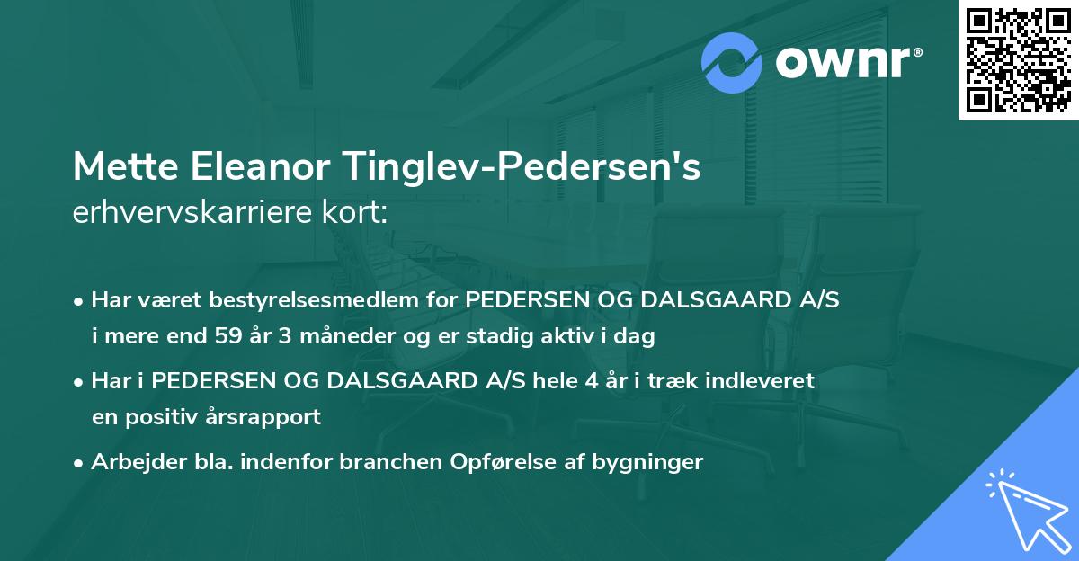Mette Eleanor Tinglev-Pedersen's erhvervskarriere kort