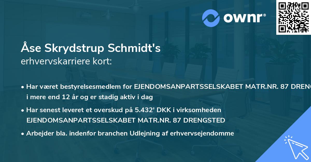Åse Skrydstrup Schmidt's erhvervskarriere kort
