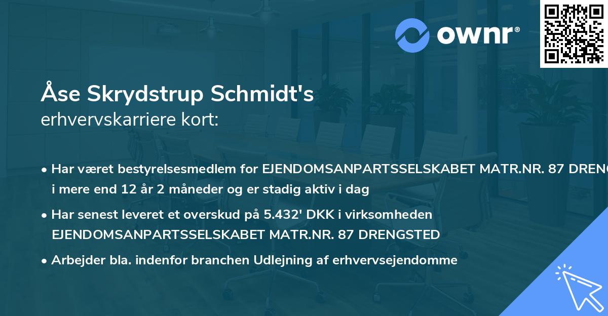 Åse Skrydstrup Schmidt's erhvervskarriere kort