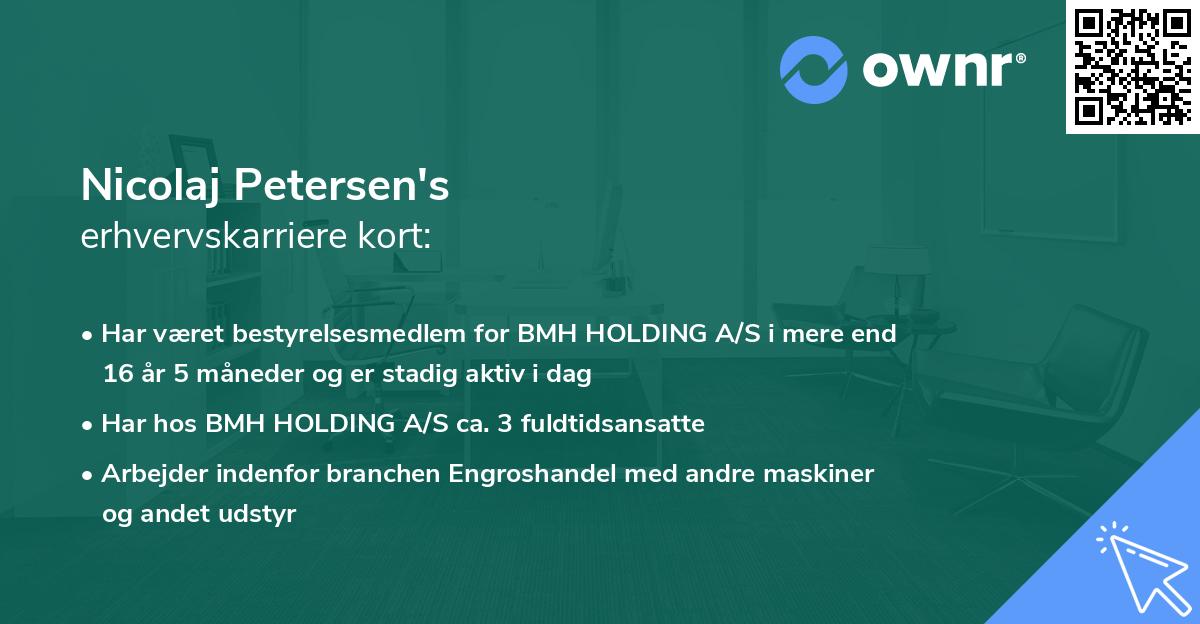 Nicolaj Petersen's erhvervskarriere kort