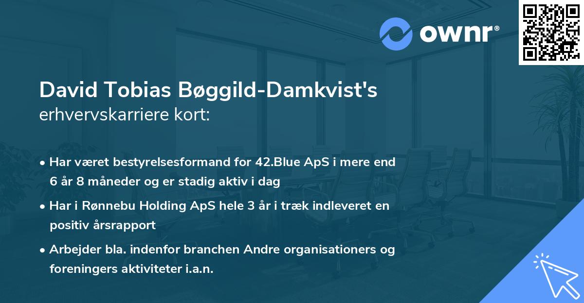 David Tobias Bøggild-Damkvist's erhvervskarriere kort
