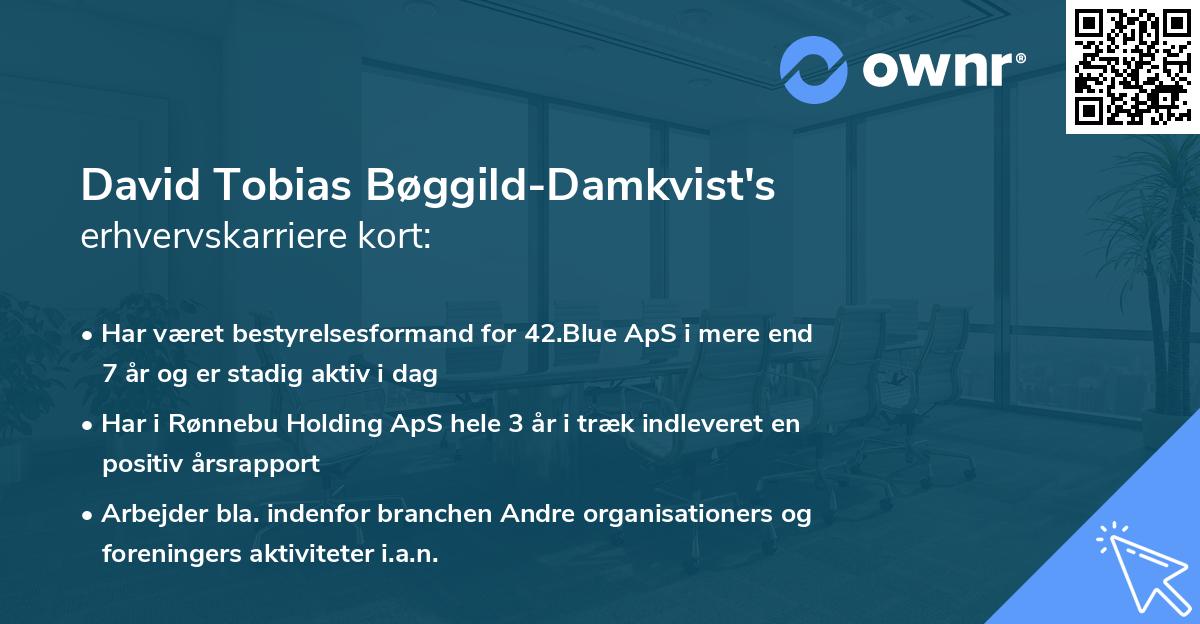 David Tobias Bøggild-Damkvist's erhvervskarriere kort