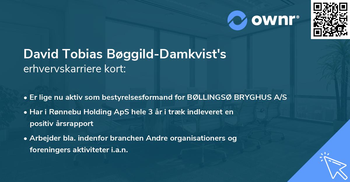 David Tobias Bøggild-Damkvist's erhvervskarriere kort