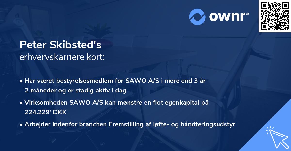 Peter Skibsted's erhvervskarriere kort