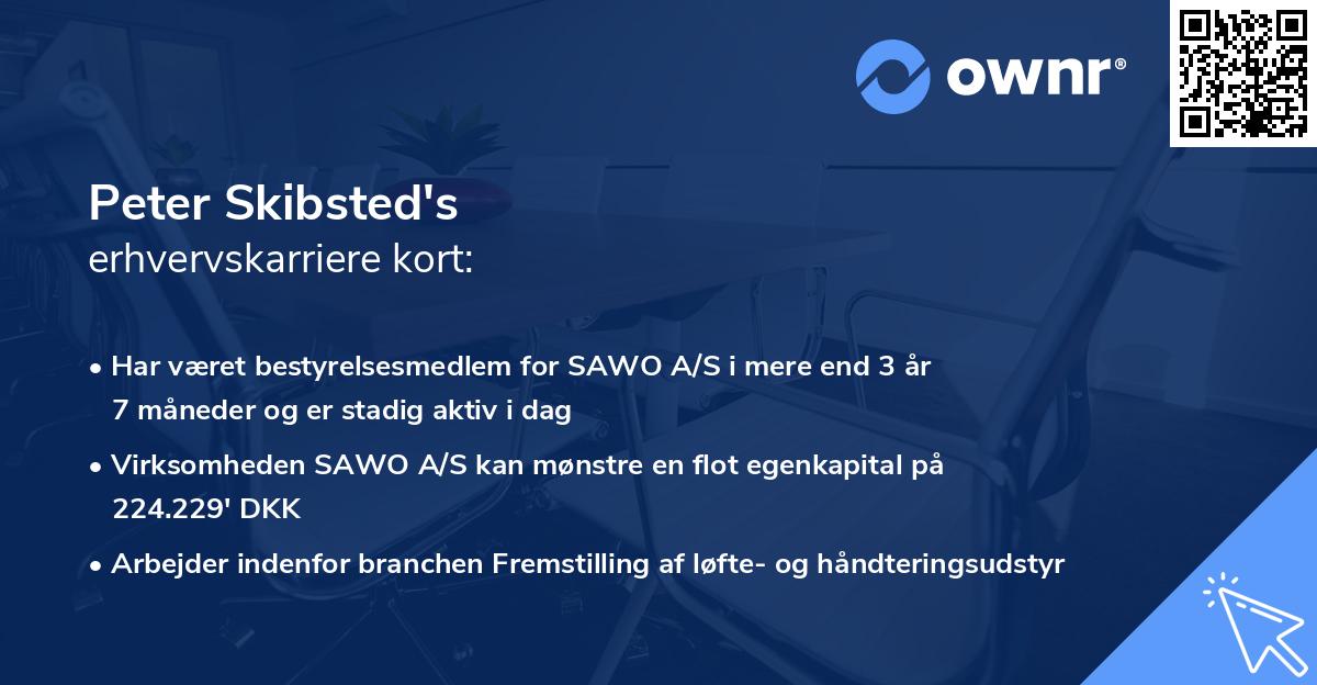 Peter Skibsted's erhvervskarriere kort
