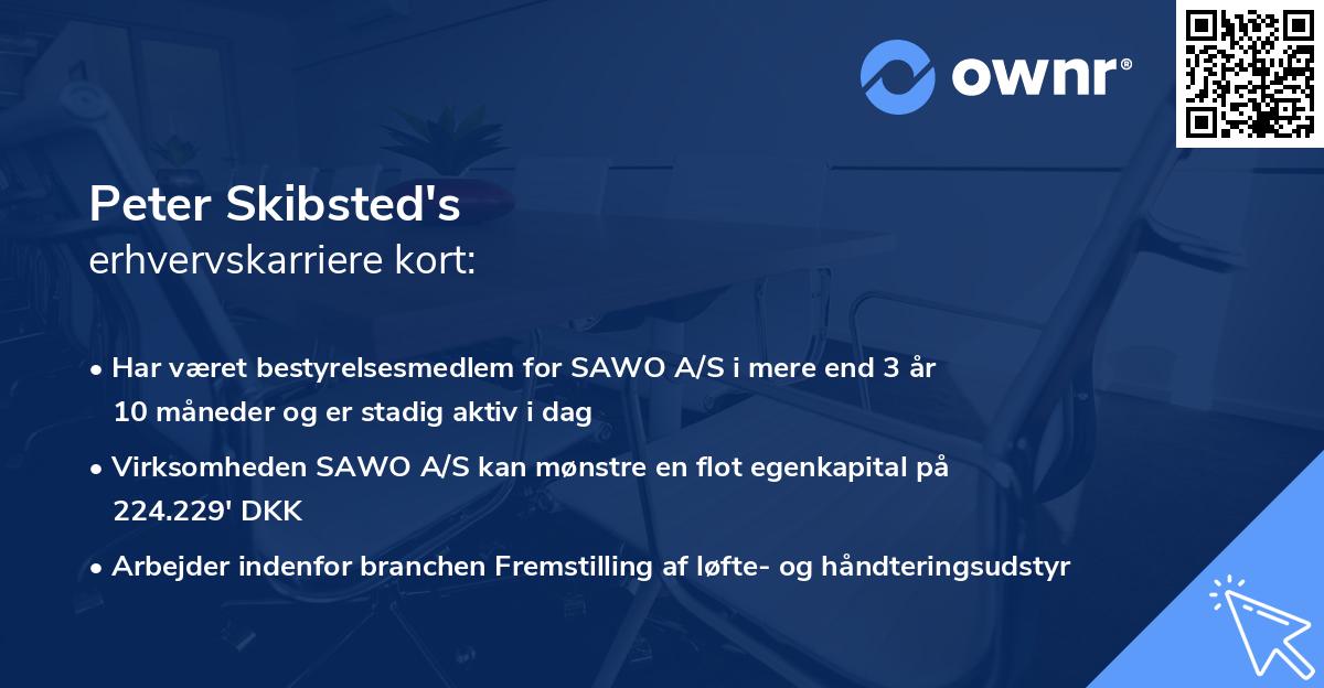 Peter Skibsted's erhvervskarriere kort