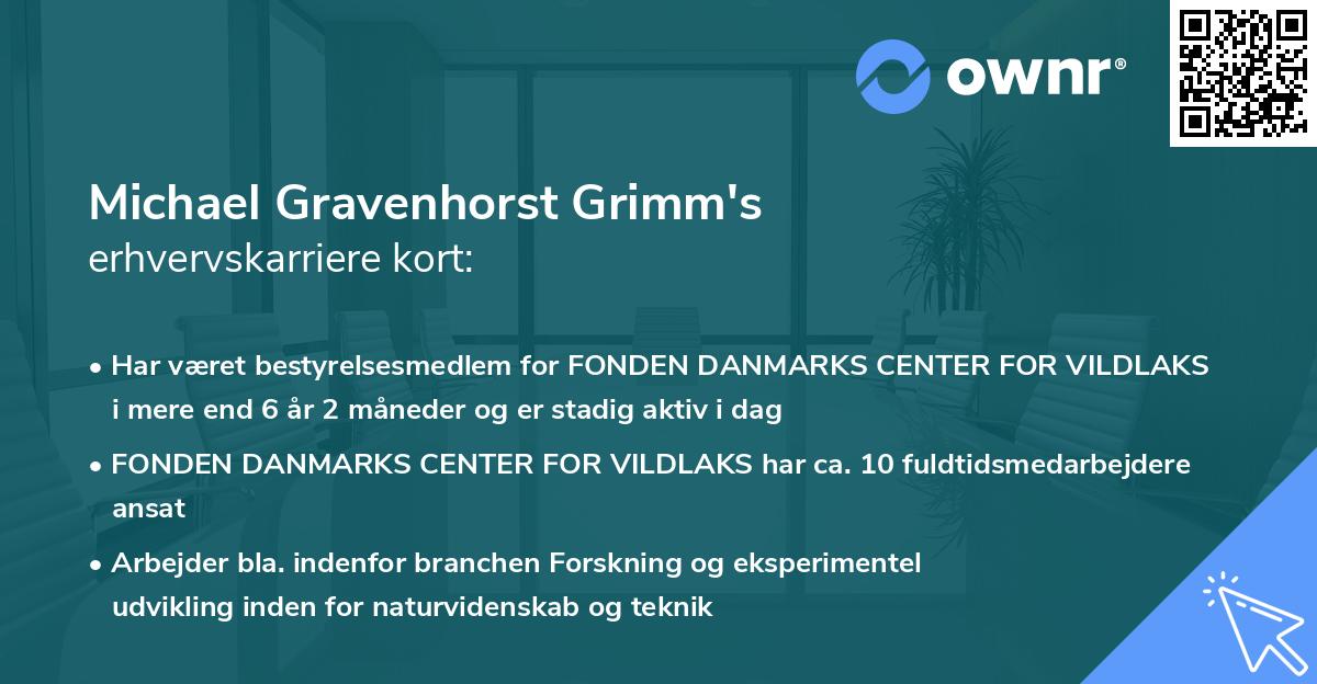 Michael Gravenhorst Grimm's erhvervskarriere kort