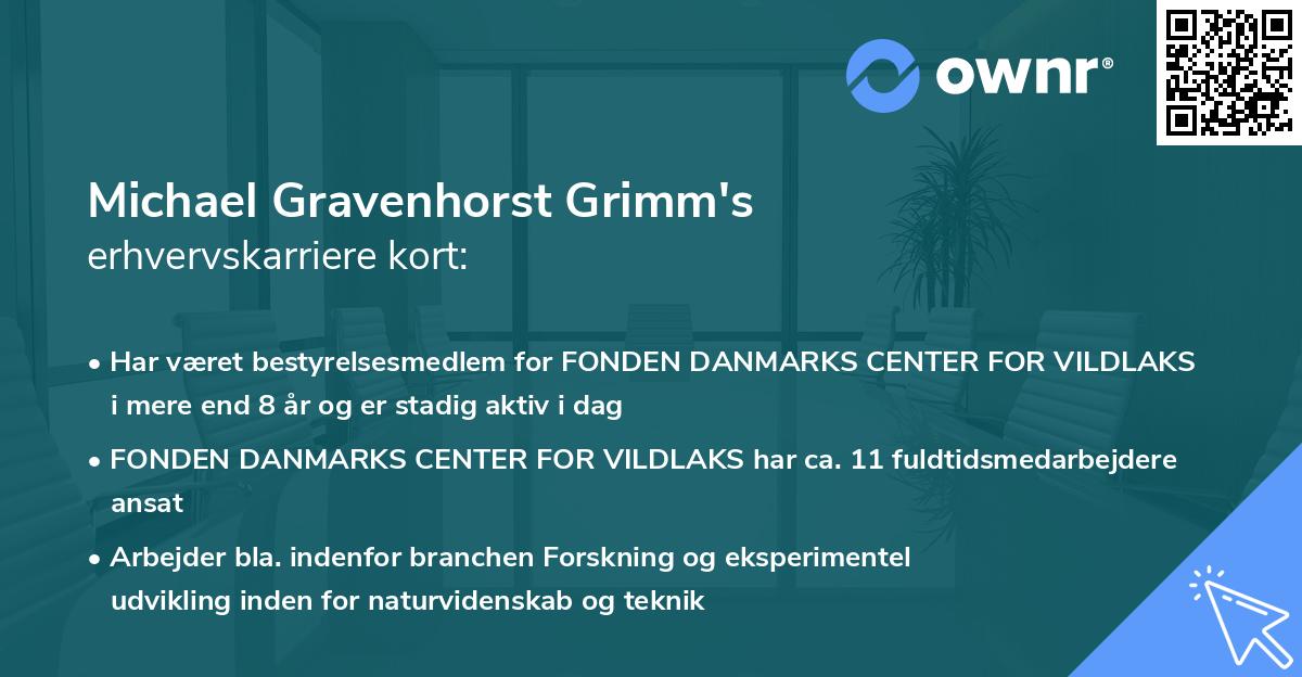 Michael Gravenhorst Grimm's erhvervskarriere kort