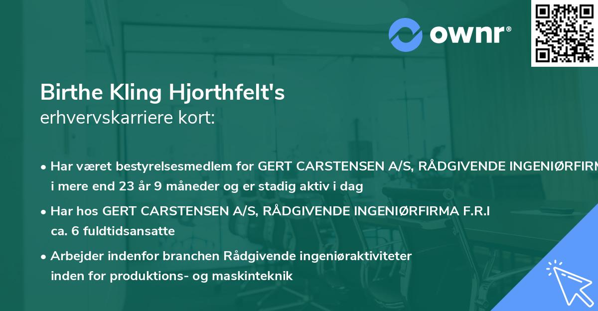 Birthe Kling Hjorthfelt's erhvervskarriere kort