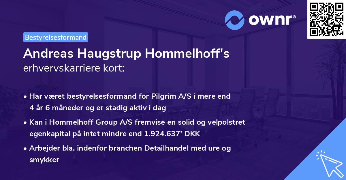 Andreas Haugstrup Hommelhoff's erhvervskarriere kort