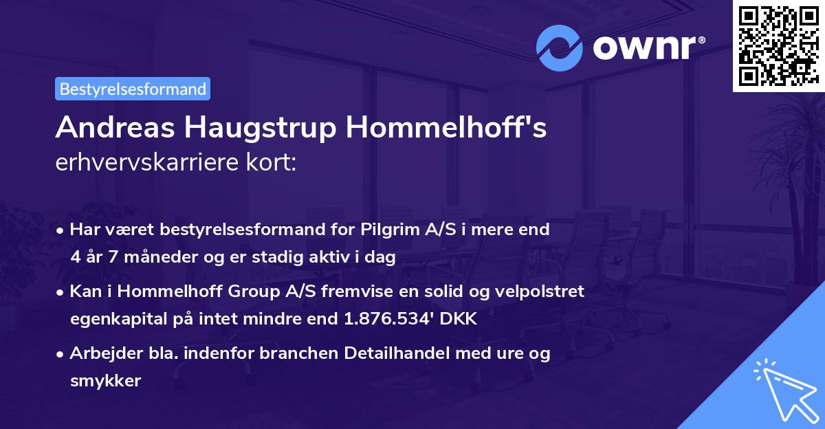 Andreas Haugstrup Hommelhoff's erhvervskarriere kort