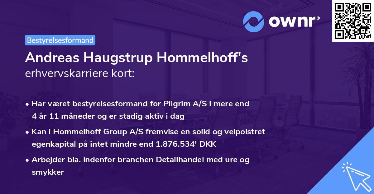 Andreas Haugstrup Hommelhoff's erhvervskarriere kort