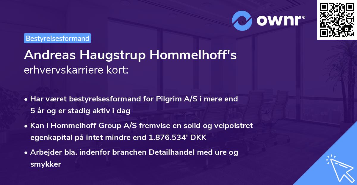 Andreas Haugstrup Hommelhoff's erhvervskarriere kort