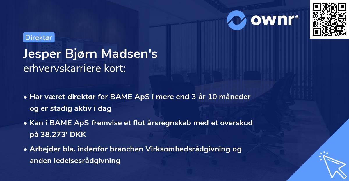 Jesper Bjørn Madsen's erhvervskarriere kort