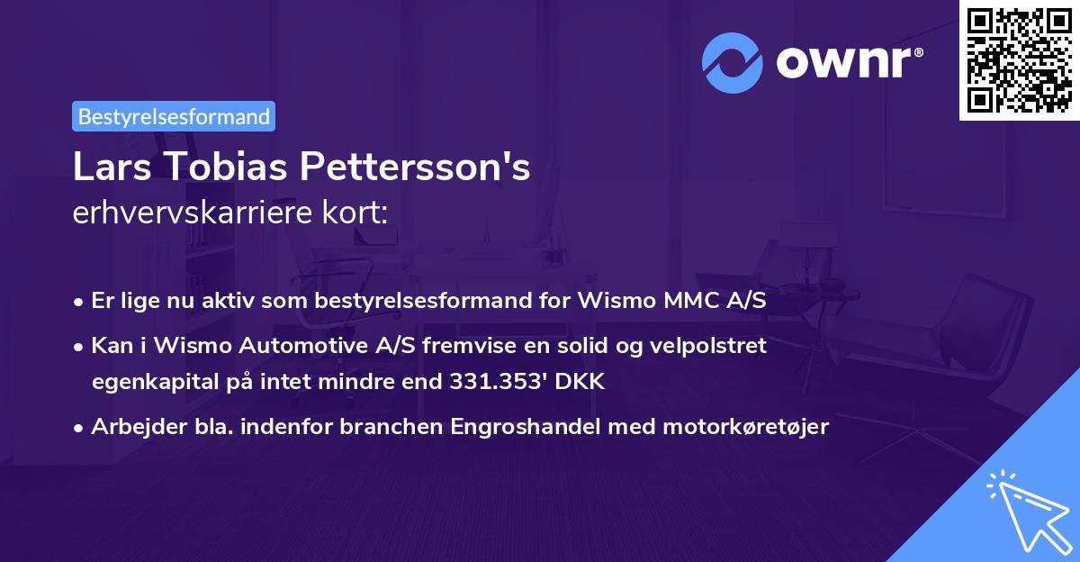 Lars Tobias Pettersson's erhvervskarriere kort