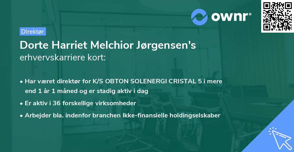 Dorte Harriet Melchior Jørgensen's erhvervskarriere kort
