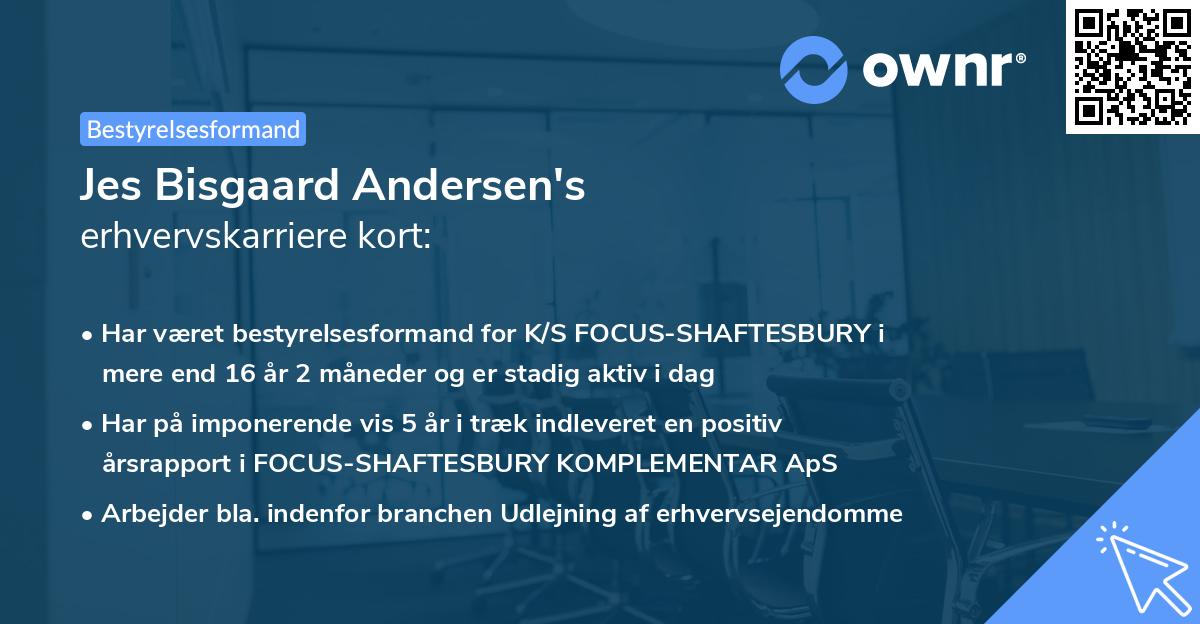 Jes Bisgaard Andersen's erhvervskarriere kort