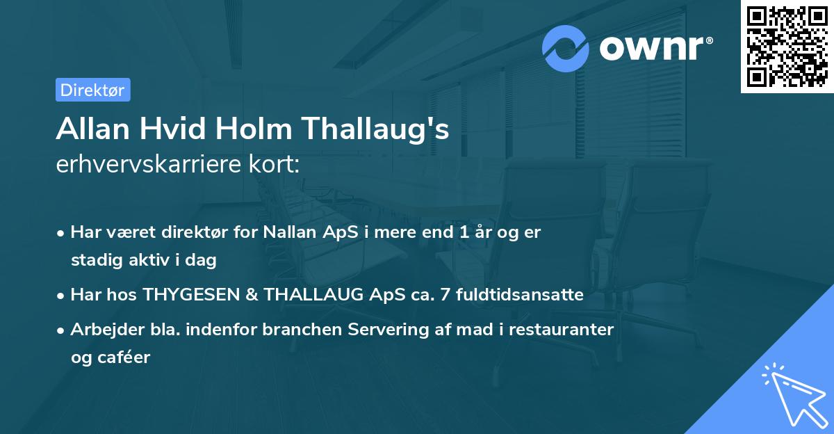 Allan Hvid Holm Thallaug's erhvervskarriere kort