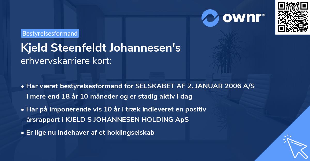 Kjeld Steenfeldt Johannesen's erhvervskarriere kort