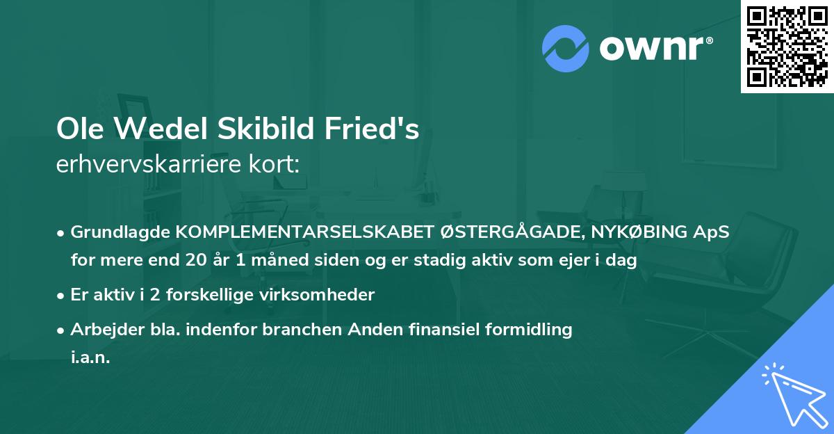 Ole Wedel Skibild Fried's erhvervskarriere kort