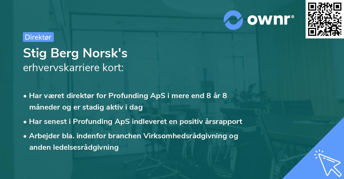 Stig Berg Norsk's erhvervskarriere kort