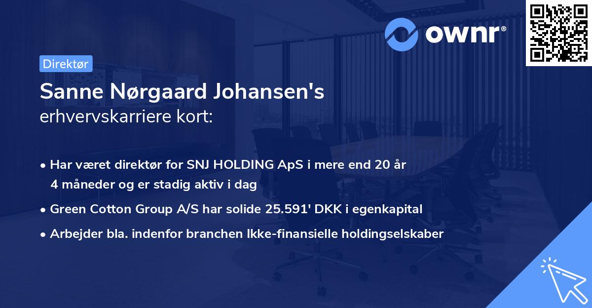 Sanne Nørgaard Johansen's erhvervskarriere kort