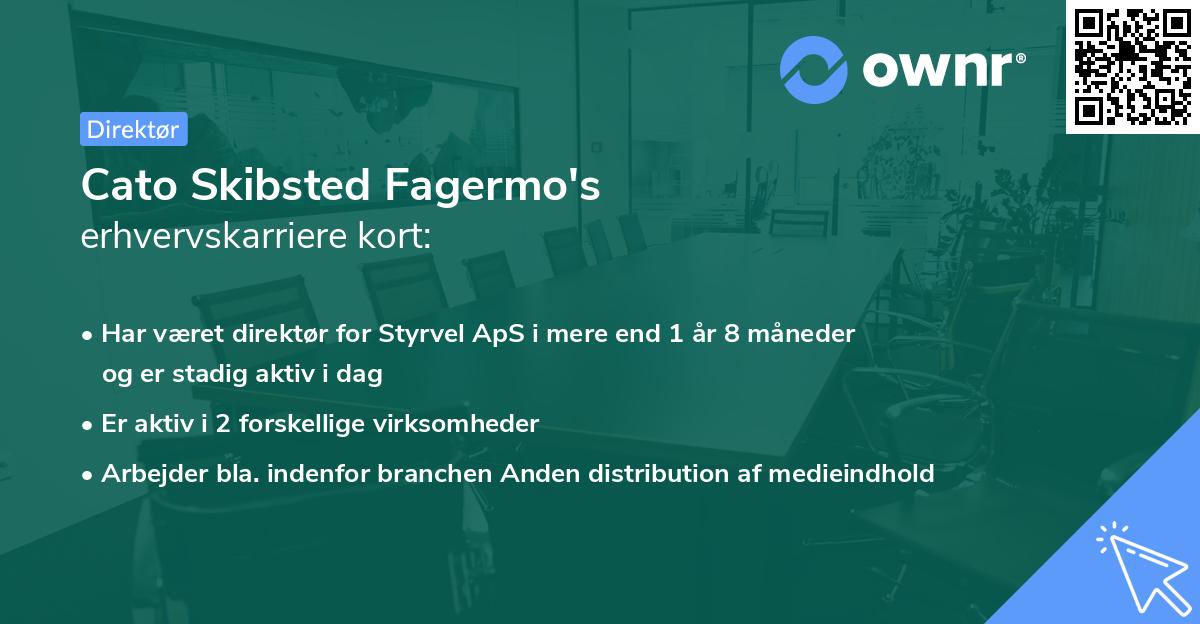 Cato Skibsted Fagermo's erhvervskarriere kort