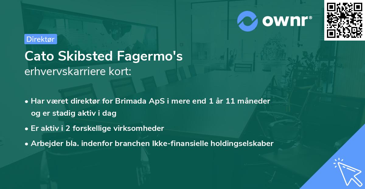 Cato Skibsted Fagermo's erhvervskarriere kort