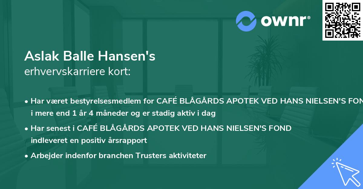 Aslak Balle Hansen's erhvervskarriere kort