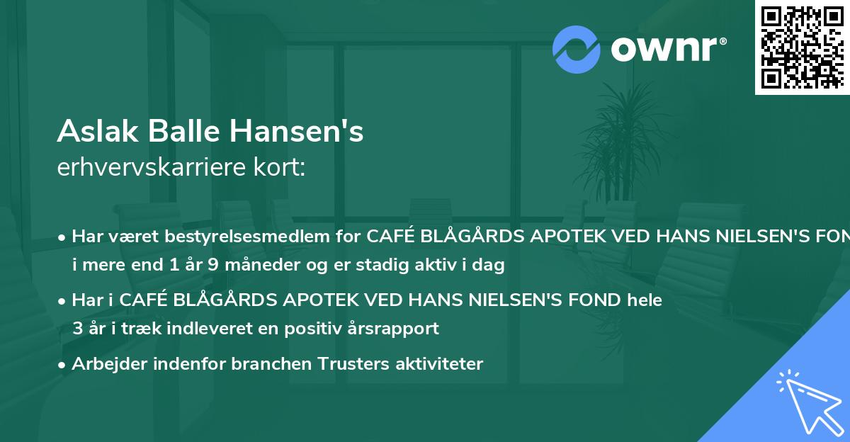Aslak Balle Hansen's erhvervskarriere kort