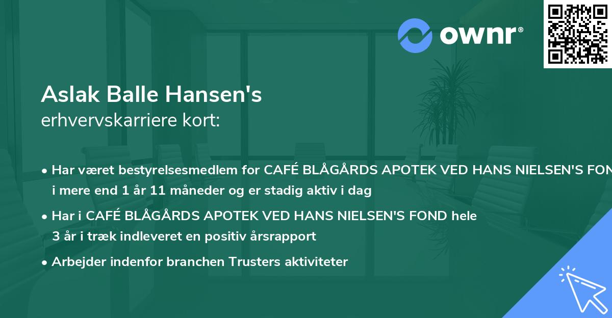 Aslak Balle Hansen's erhvervskarriere kort