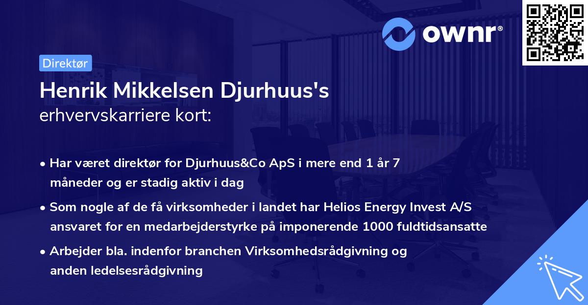 Henrik Mikkelsen Djurhuus's erhvervskarriere kort