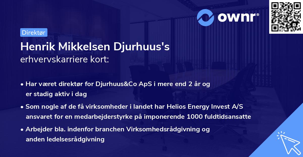 Henrik Mikkelsen Djurhuus's erhvervskarriere kort
