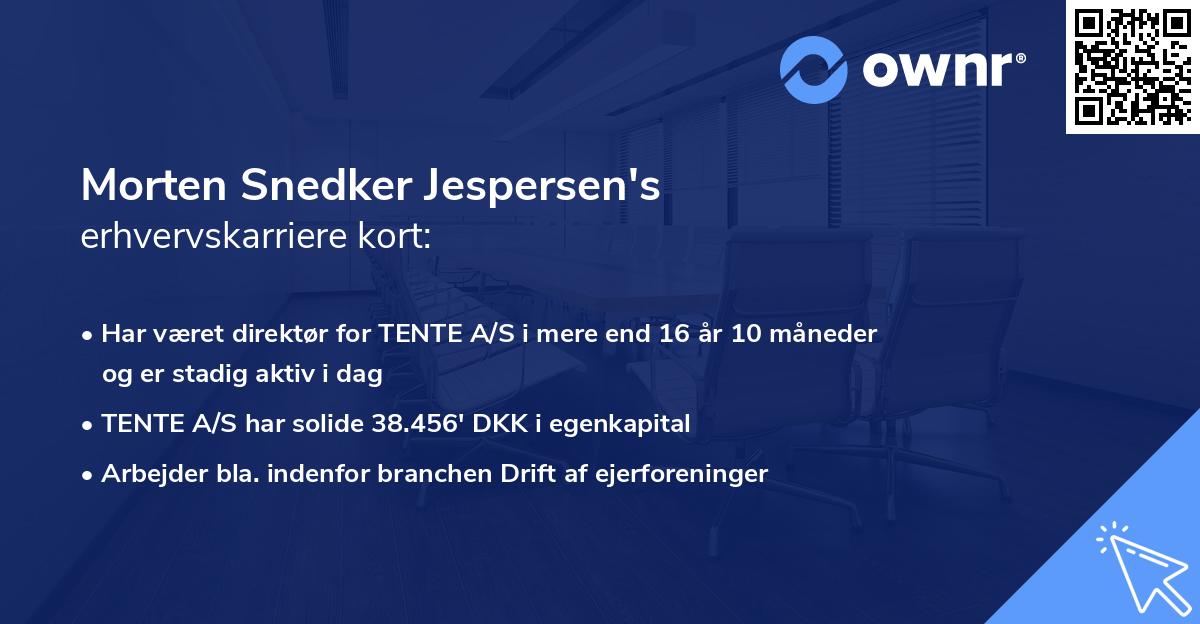 Morten Snedker Jespersen's erhvervskarriere kort
