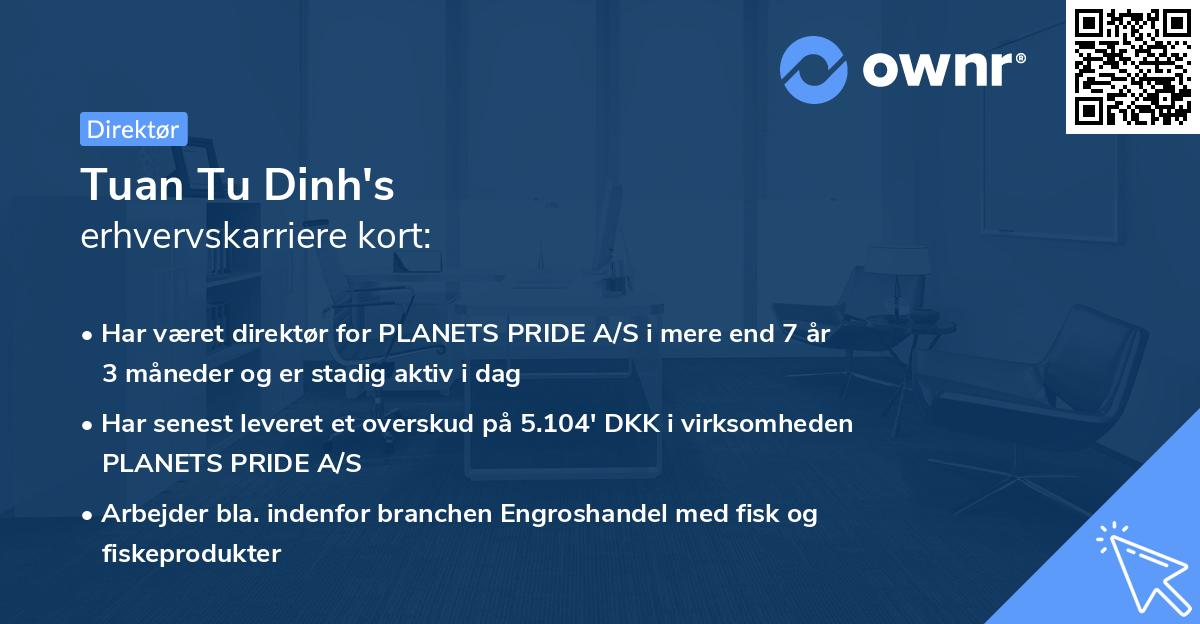 Tuan Tu Dinh's erhvervskarriere kort