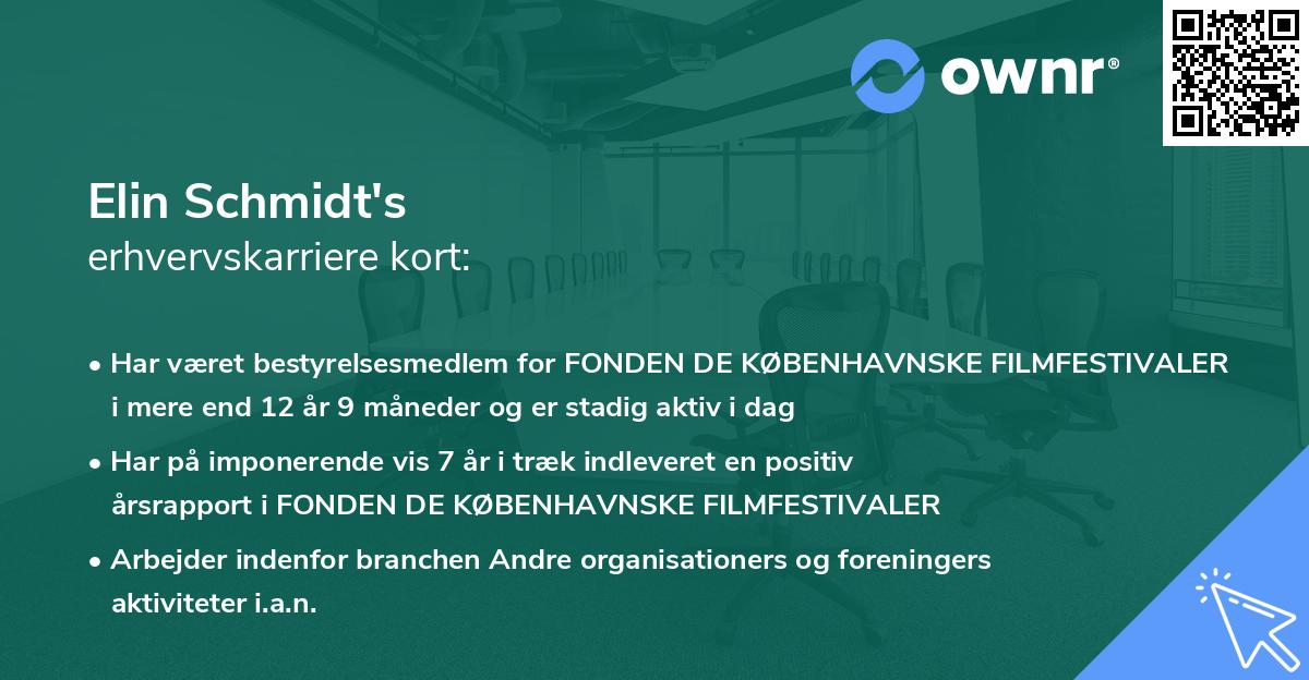 Elin Schmidt's erhvervskarriere kort