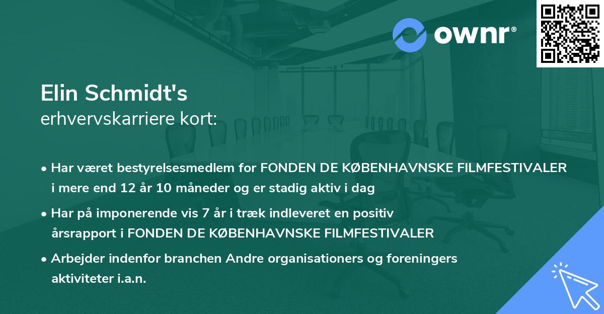 Elin Schmidt's erhvervskarriere kort