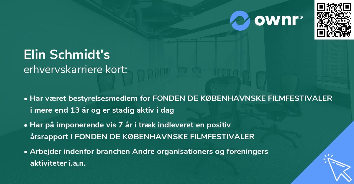 Elin Schmidt's erhvervskarriere kort