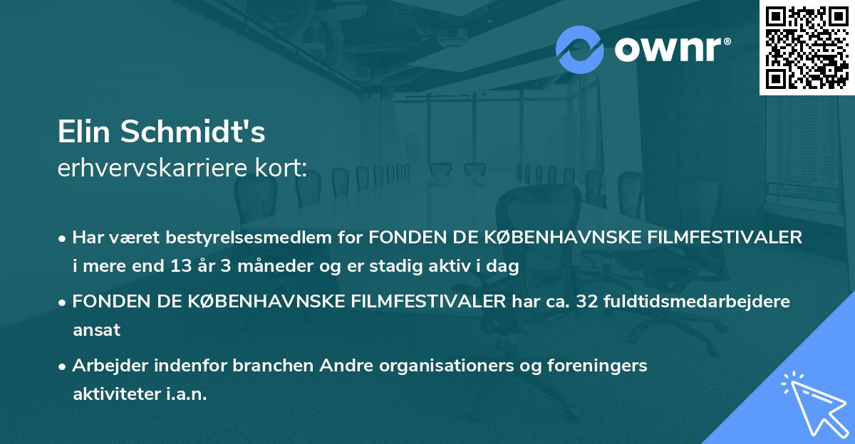 Elin Schmidt's erhvervskarriere kort