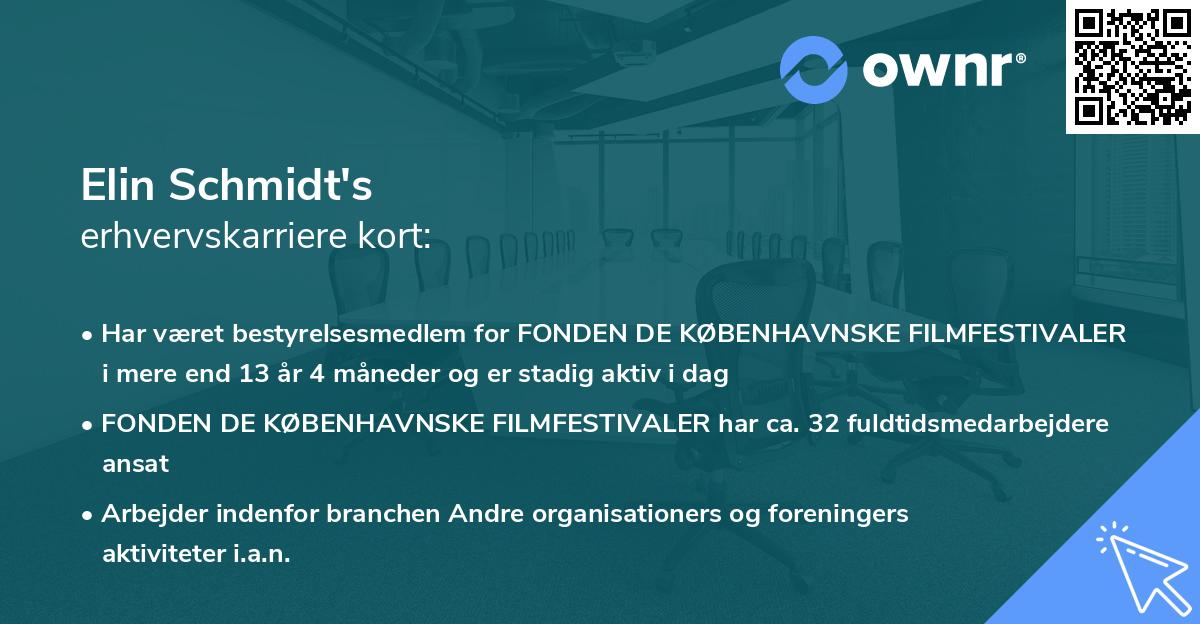 Elin Schmidt's erhvervskarriere kort
