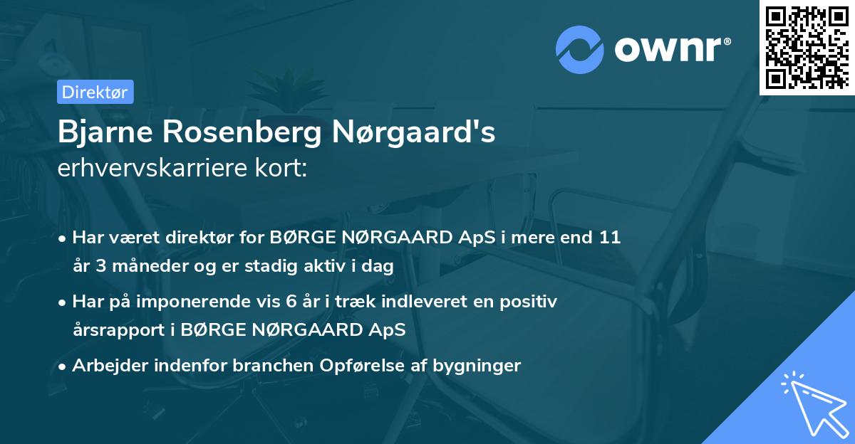 Bjarne Rosenberg Nørgaard's erhvervskarriere kort