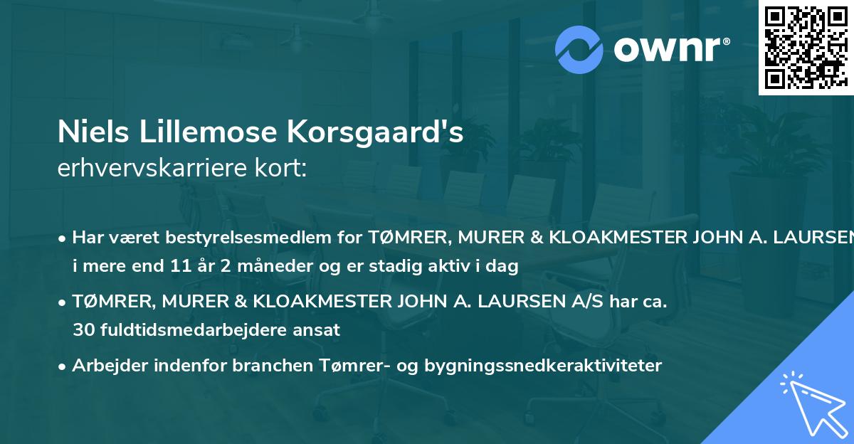 Niels Lillemose Korsgaard's erhvervskarriere kort