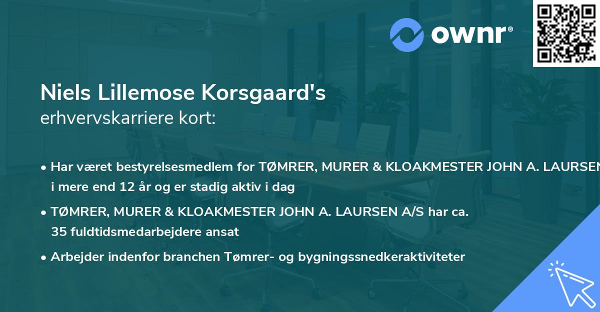 Niels Lillemose Korsgaard's erhvervskarriere kort