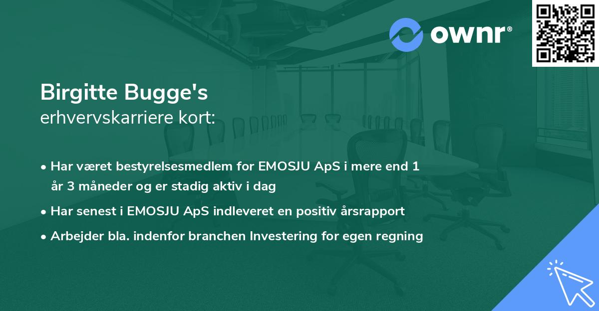 Birgitte Bugge's erhvervskarriere kort
