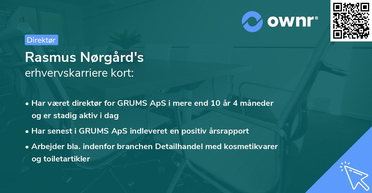 Rasmus Nørgård's erhvervskarriere kort